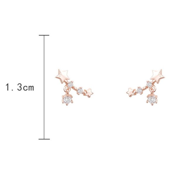 💙💕💕Last one North Stars Stud Earrings - Picture 6 of 11